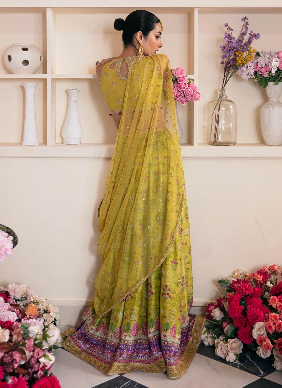 Farah Talib Aziz | Mayna Festive Luxe | ELIKA LIME - Aqsa Fabrics