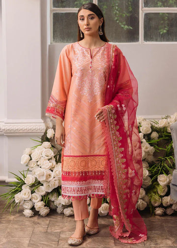 Daud Abbas | Formals Collection | Mehrma