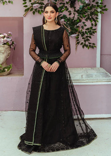Daud Abbas | Formals Collection | Ziva - Aqsa Fabrics