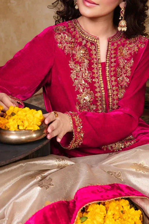 Maya | Raazi Velvet 24 | KASTURI - Aqsa Fabrics