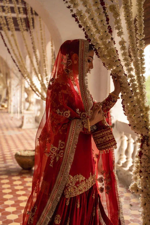 Maya | Wedding Formal Raabta | AFREEN - Aqsa Fabrics