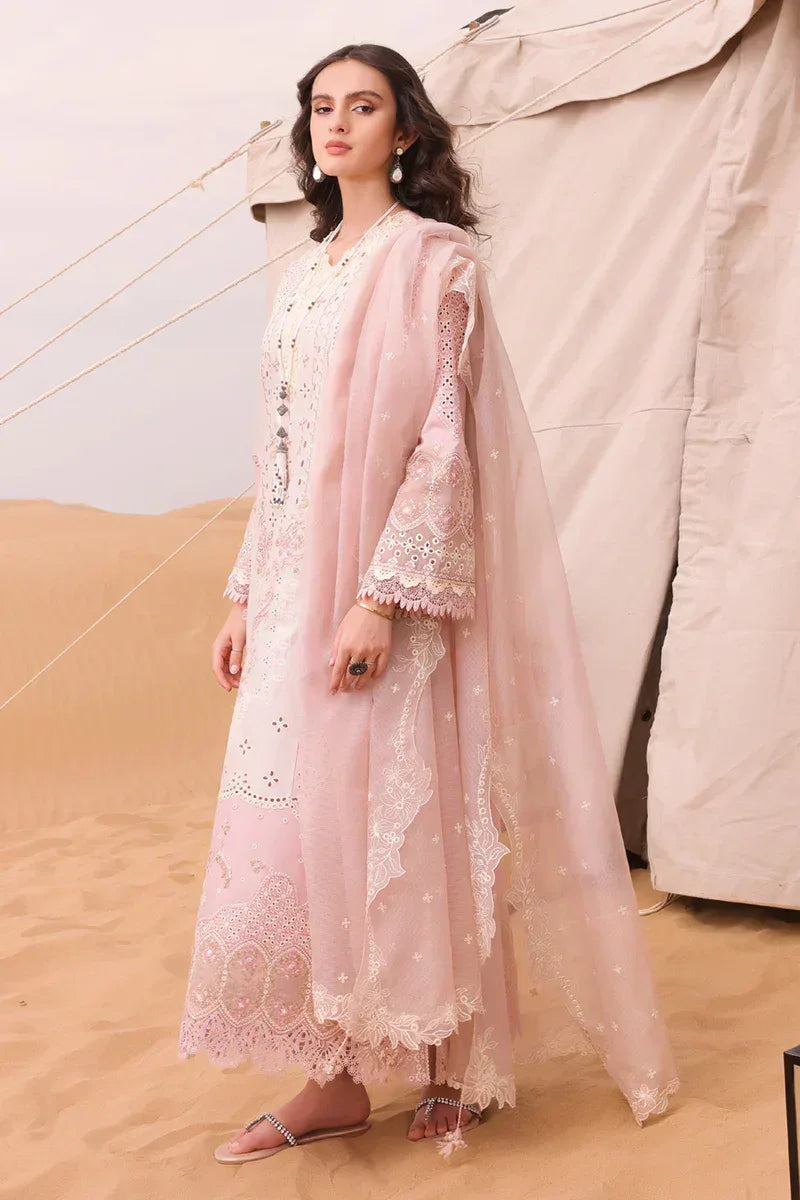Qalamkar | Chikankari Eid Edit 24 | KM-03 AOIFE - Aqsa Fabrics