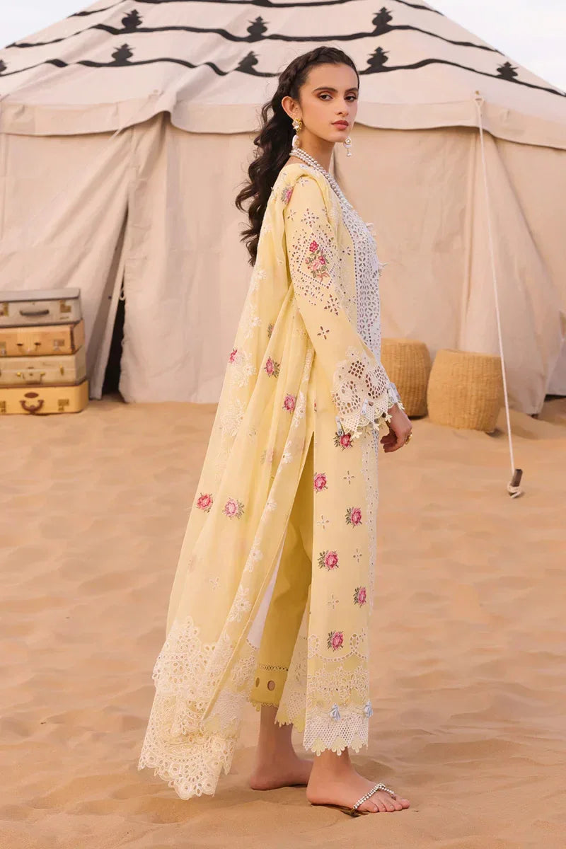 Qalamkar | Chikankari Eid Edit 24 | KM-01 NIAMH - Aqsa Fabrics