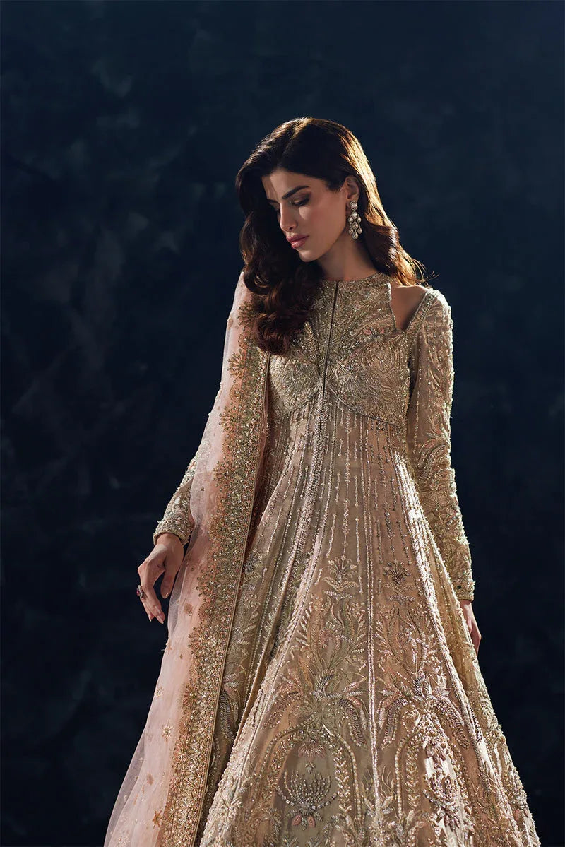 Soraya | Oriana Luxury Formals | Reverie - Aqsa Fabrics