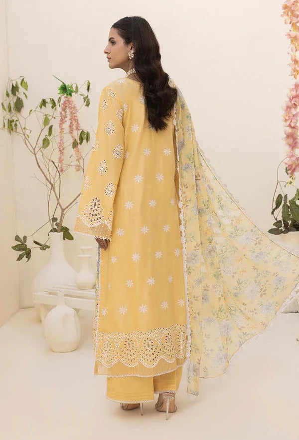 Adans Libas | Haelyn 25 | HAELYN 5 - Aqsa Fabrics