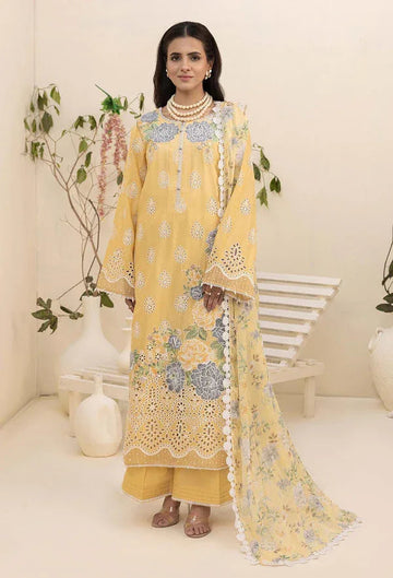 Adans Libas | Haelyn 25 | HAELYN 5 - Aqsa Fabrics