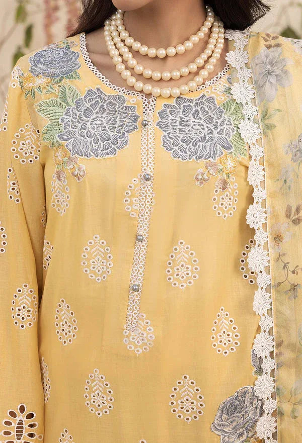 Adans Libas | Haelyn 25 | HAELYN 5 - Aqsa Fabrics