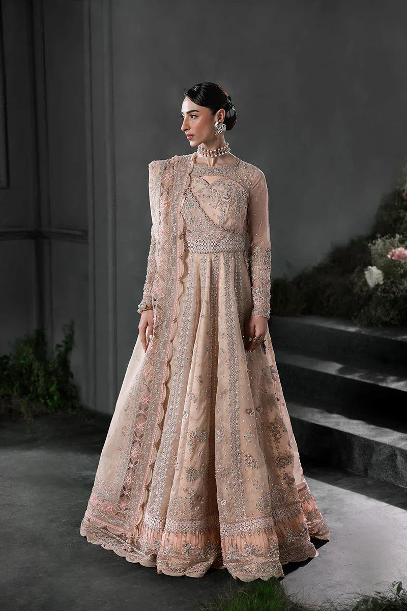 Qalamkar | Elirah Formals 25 | MF-01 LUSTRA - Aqsa Fabrics