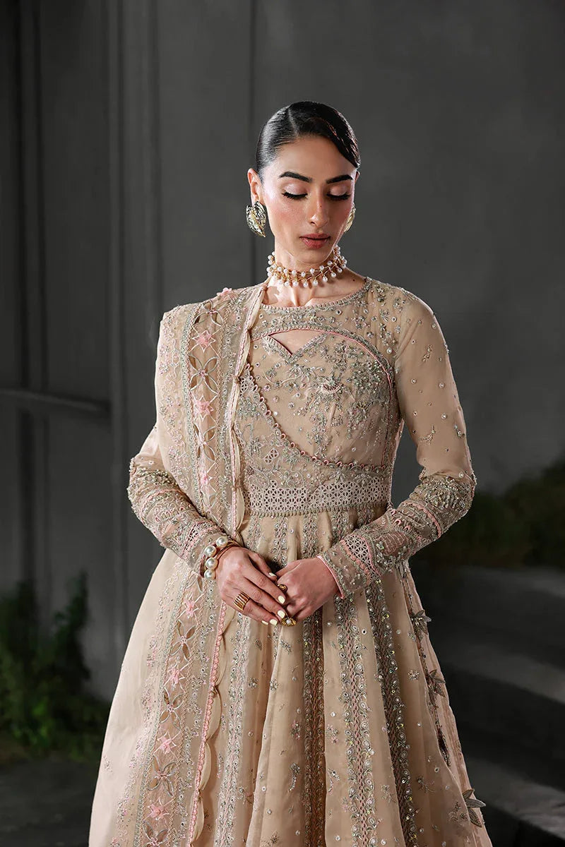 Qalamkar | Elirah Formals 25 | MF-01 LUSTRA - Aqsa Fabrics
