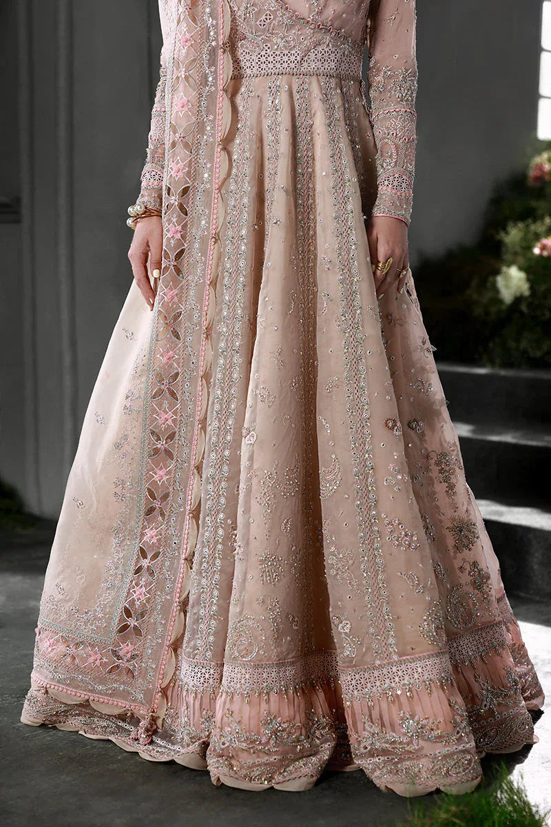 Qalamkar | Elirah Formals 25 | MF-01 LUSTRA - Aqsa Fabrics