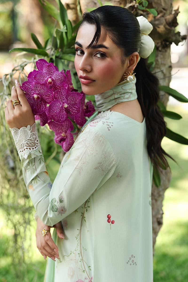 Qalamkar | Q Prints 26 | AX-01 (A) NEVE - Aqsa Fabrics