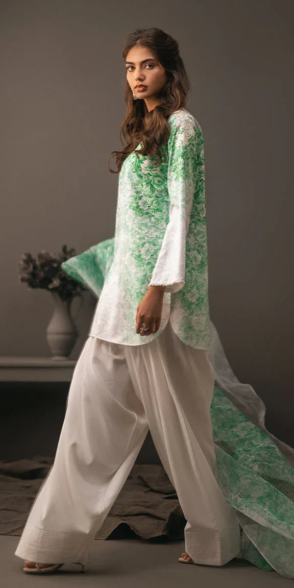 Erum Khan | Beyond Basic | VIVID ELEGANCE - Aqsa Fabrics