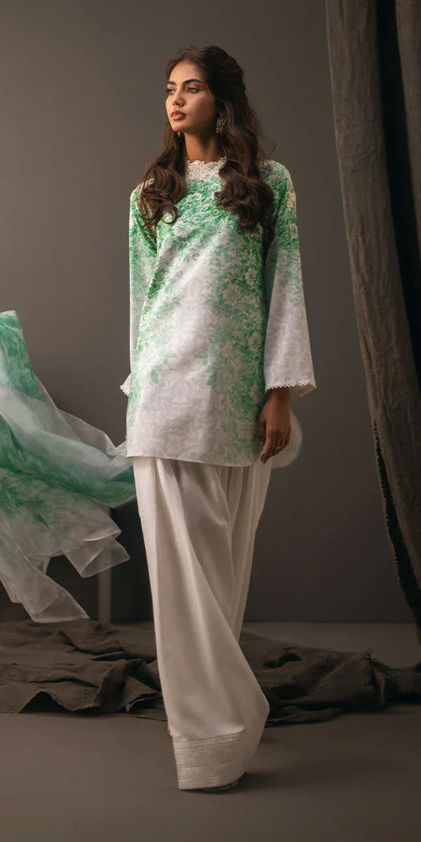 Erum Khan | Beyond Basic | VIVID ELEGANCE - Aqsa Fabrics