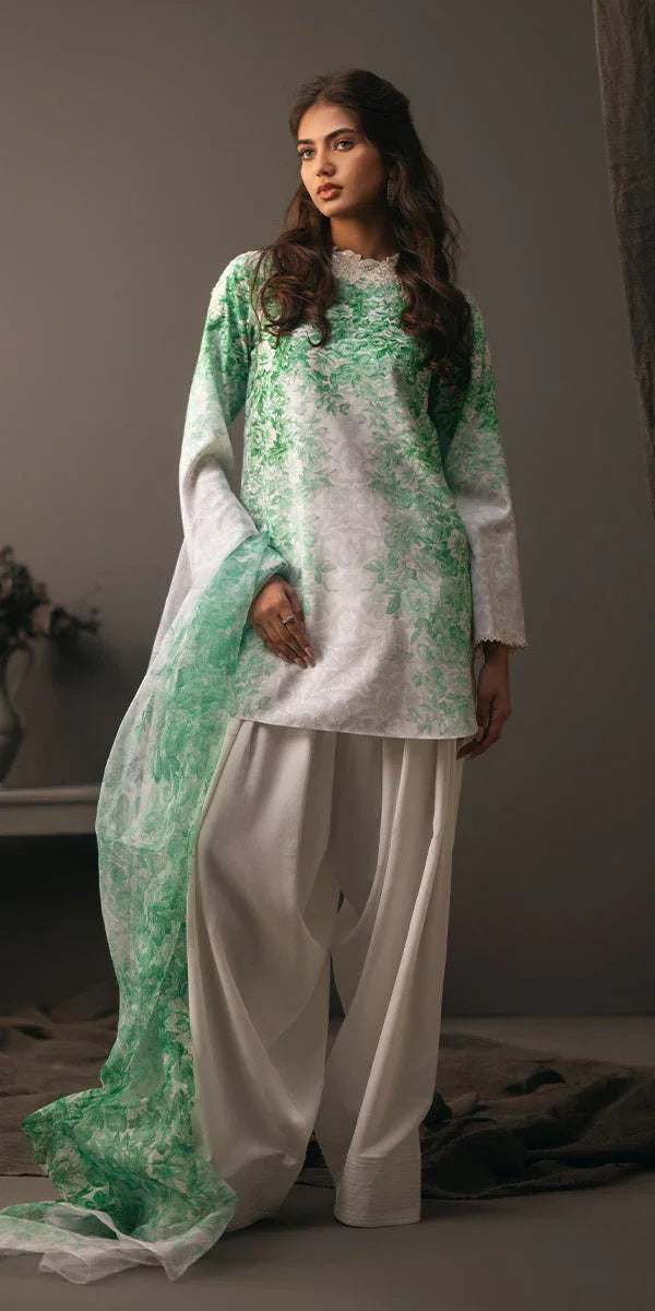 Erum Khan | Beyond Basic | VIVID ELEGANCE - Aqsa Fabrics