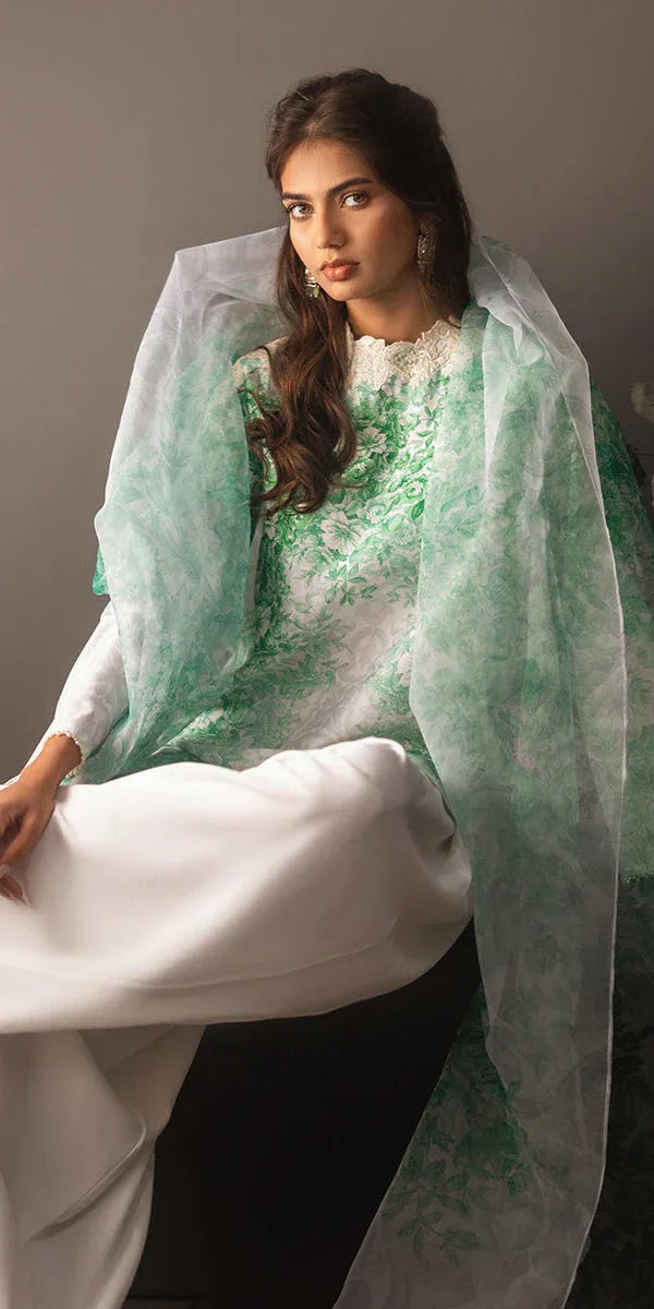 Erum Khan | Beyond Basic | VIVID ELEGANCE - Aqsa Fabrics