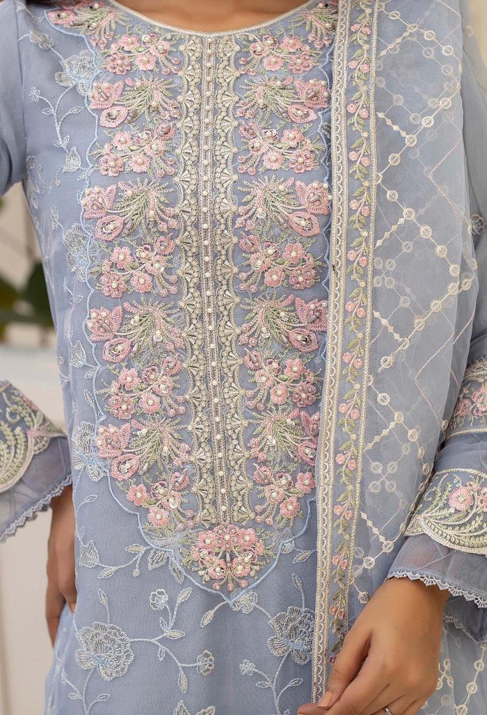 Adans Libas | Tissue Deluxe 01 | DELUXE 444417 - Aqsa Fabrics