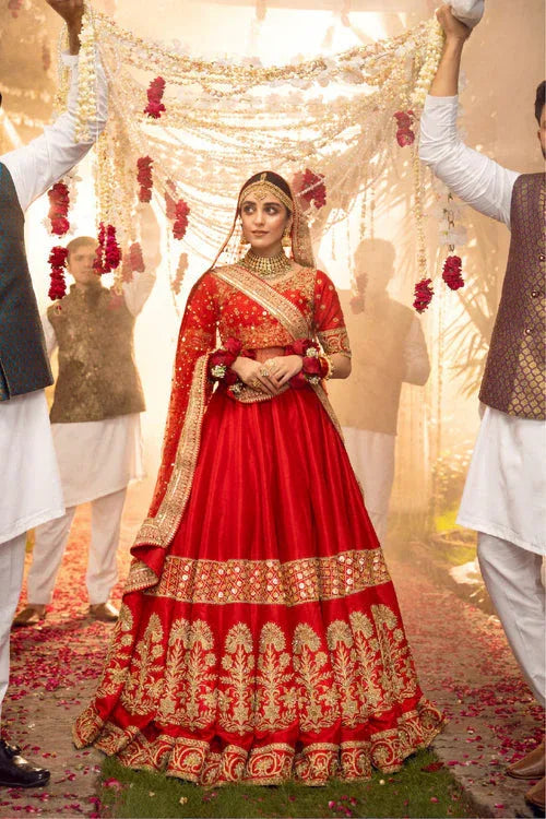 Maya | Wedding Formal Babul | AMAN TARA - Aqsa Fabrics