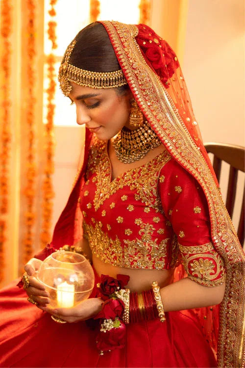Maya | Wedding Formal Babul | AMAN TARA - Aqsa Fabrics