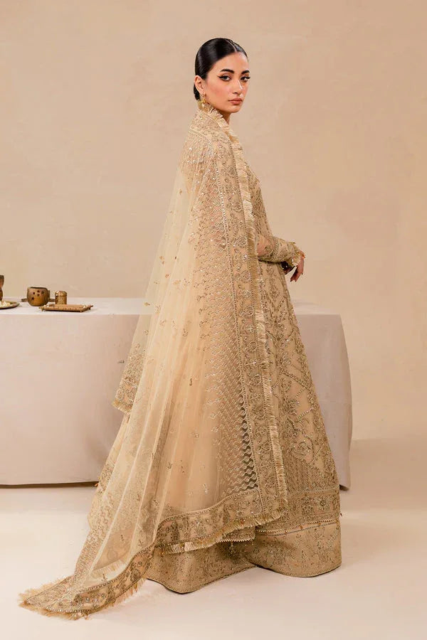 Farasha | Lumiere Formals | DREAMT FLAIR - Aqsa Fabrics