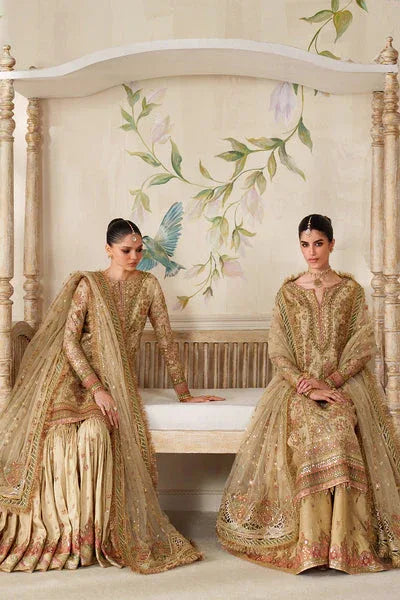 Baroque | Chantelle 25 | CH14-02 - Aqsa Fabrics