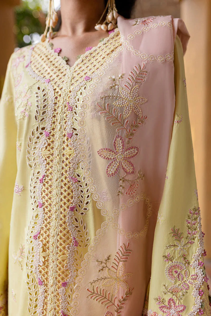 Qalamkar | Q Line Lawn 25 | QM-11 Ina - Aqsa Fabrics