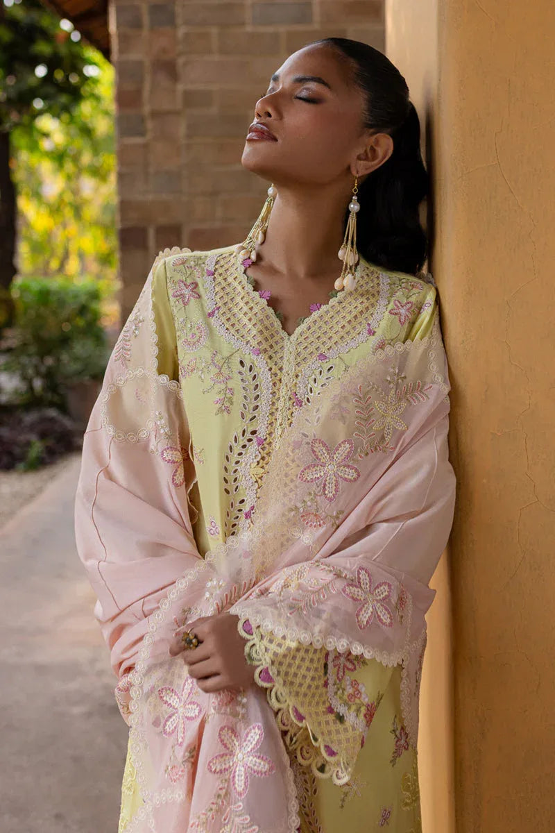 Qalamkar | Q Line Lawn 25 | QM-11 Ina - Aqsa Fabrics