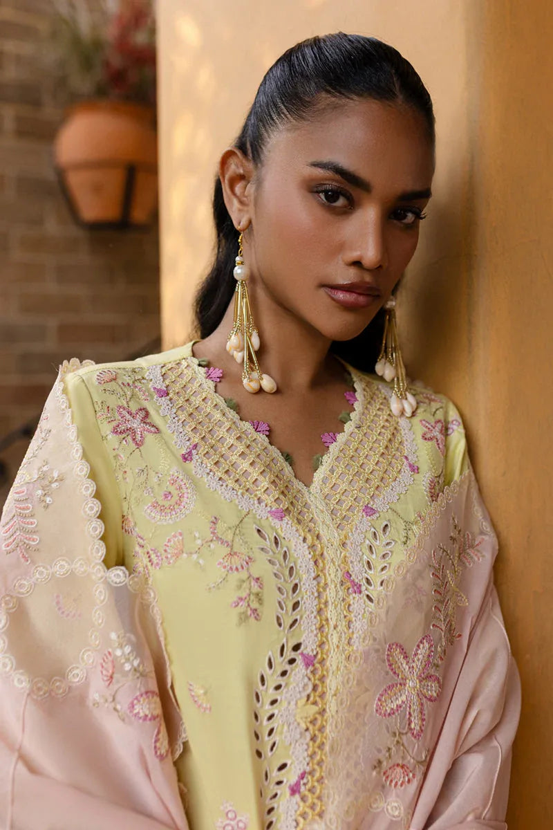 Qalamkar | Q Line Lawn 25 | QM-11 Ina - Aqsa Fabrics
