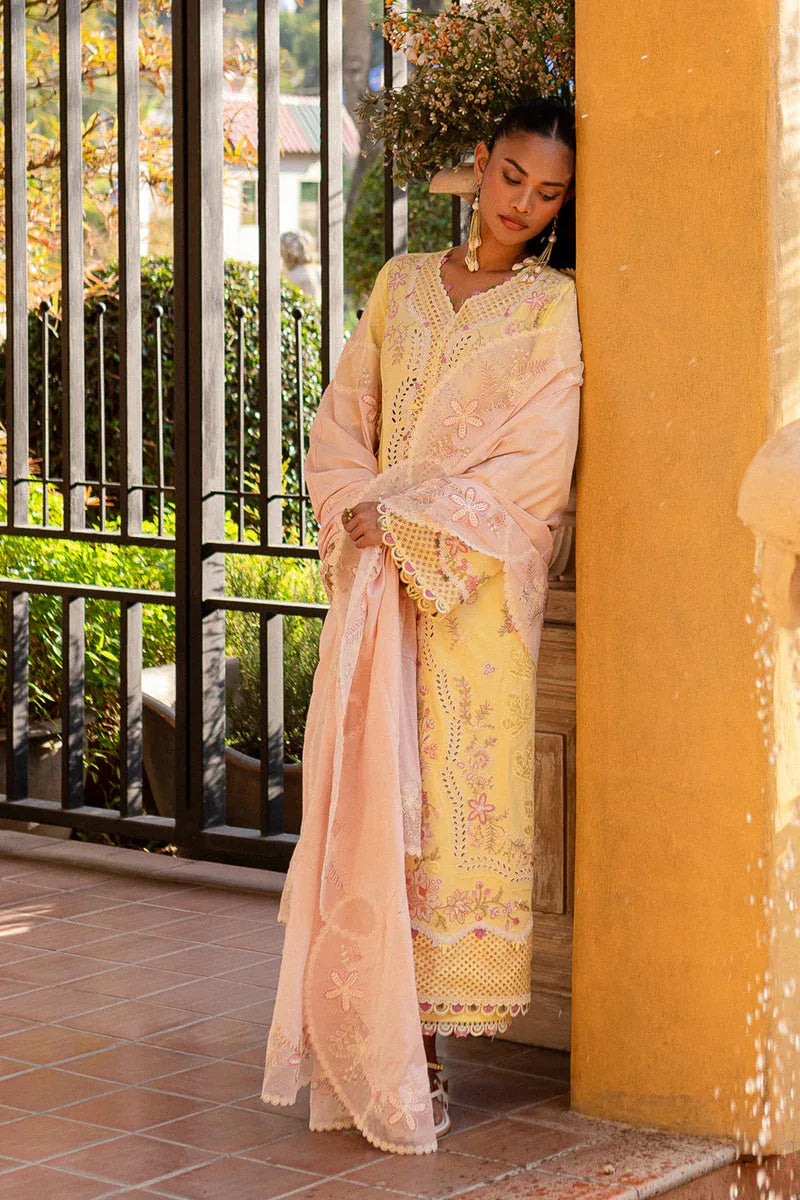 Qalamkar | Q Line Lawn 25 | QM-11 Ina - Aqsa Fabrics