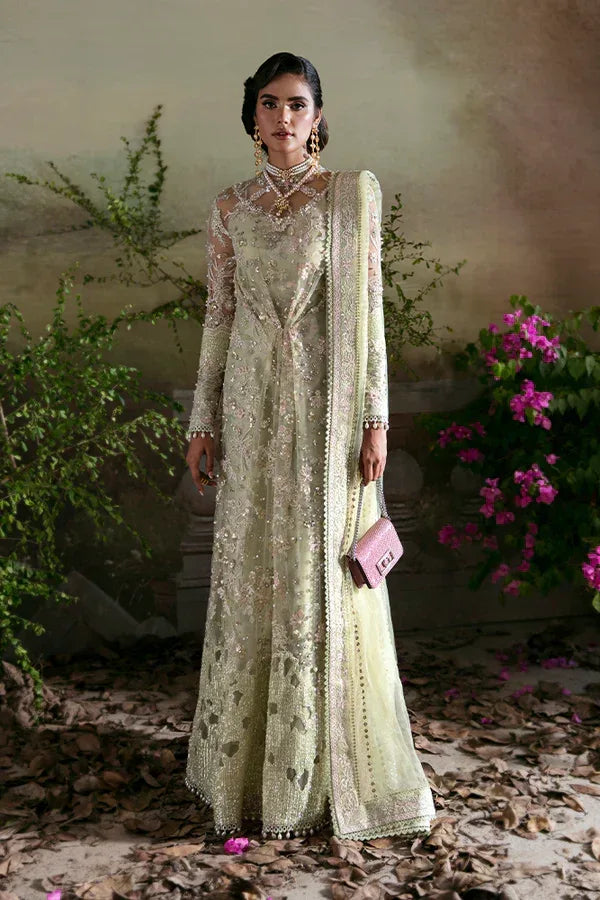 Suffuse | Formal Clothes |  Kiara - Aqsa Fabrics