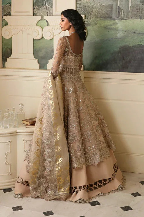 Nyra | Wedding Festive 24 | Dahlia - Aqsa Fabrics