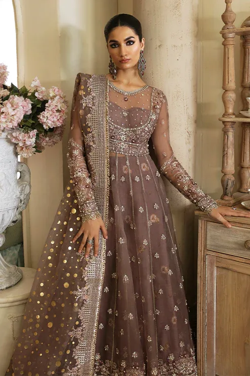 Nyra | Wedding Festive 24 | Aster - Aqsa Fabrics