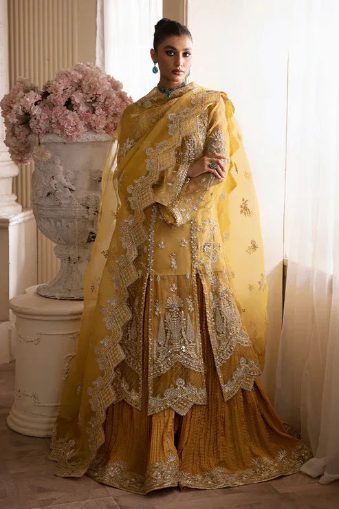 Nyra | Wedding Festive 24 | Aurea - Aqsa Fabrics