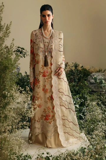 Nureh | Amaya Formals | AM-06 - Aqsa Fabrics