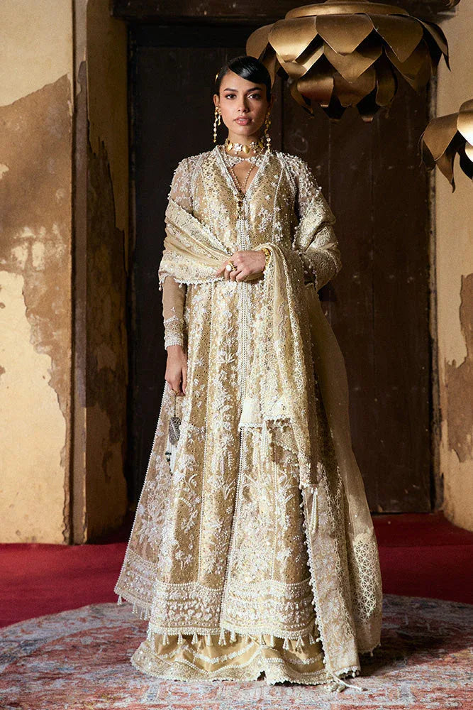 Suffuse | Freeshia Wedding Formals | GULRAIZ - Aqsa Fabrics
