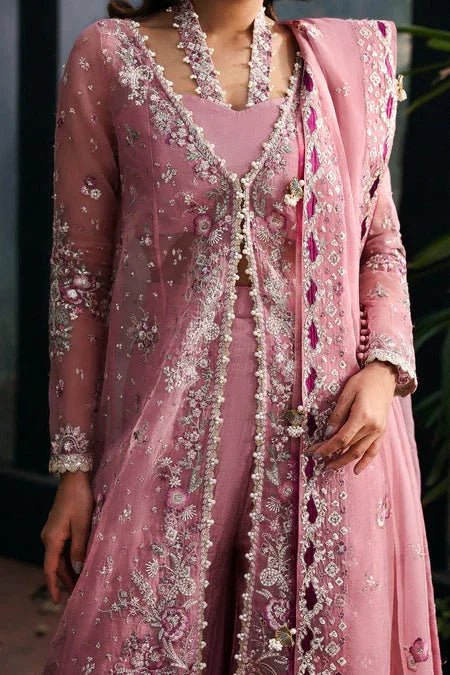 Afrozeh | La Fuschia 25 | Seraira - Aqsa Fabrics