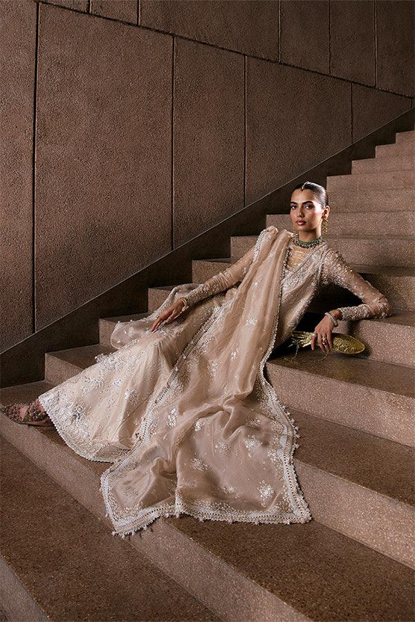 Suffuse | Freeshia RTW 25' | Ismira - Aqsa Fabrics