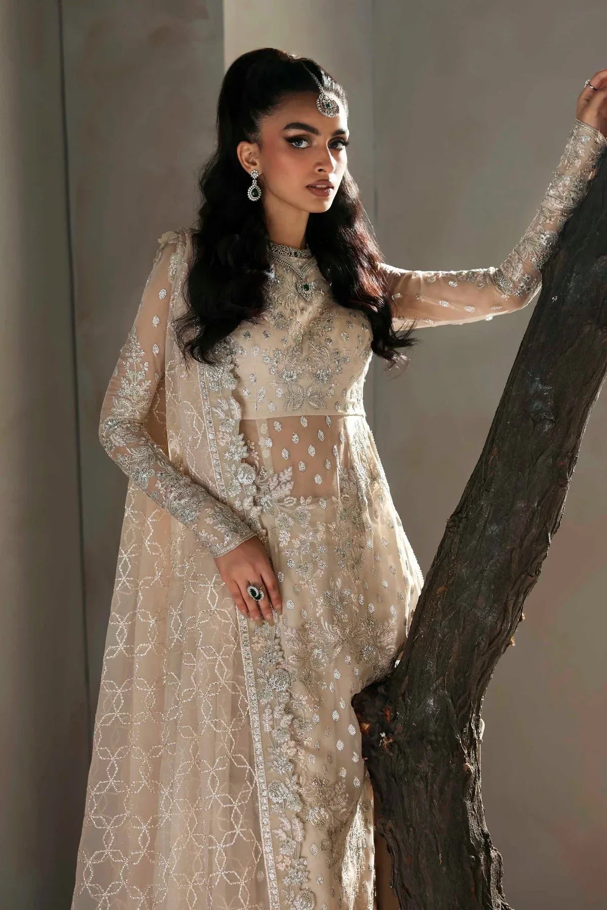 Akbar Aslam | Meeras Luxury Chiffon 25 | Sehrya - Aqsa Fabrics