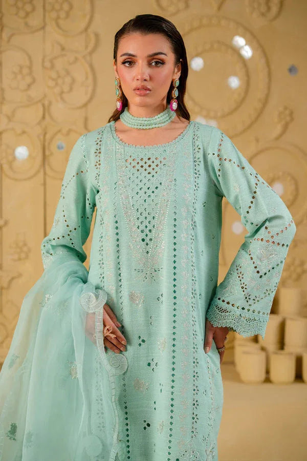 Nureh | Karandi 25 | NE-134 - Aqsa Fabrics
