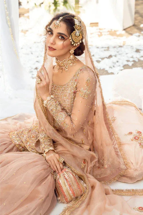 Maya | Wedding Formal Babul | ANAYAT - Aqsa Fabrics
