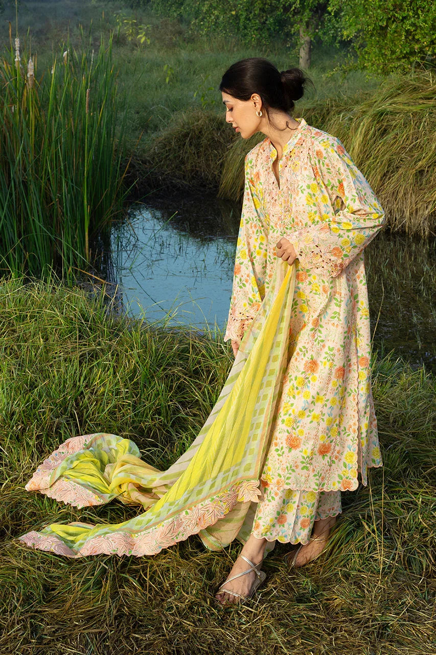 Alysa (A) - Aqsa Fabrics