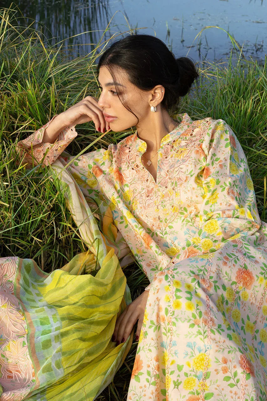 Alysa (A) - Aqsa Fabrics