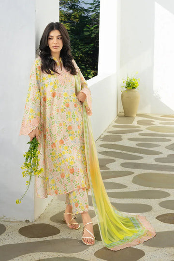 Alysa (A) - Aqsa Fabrics