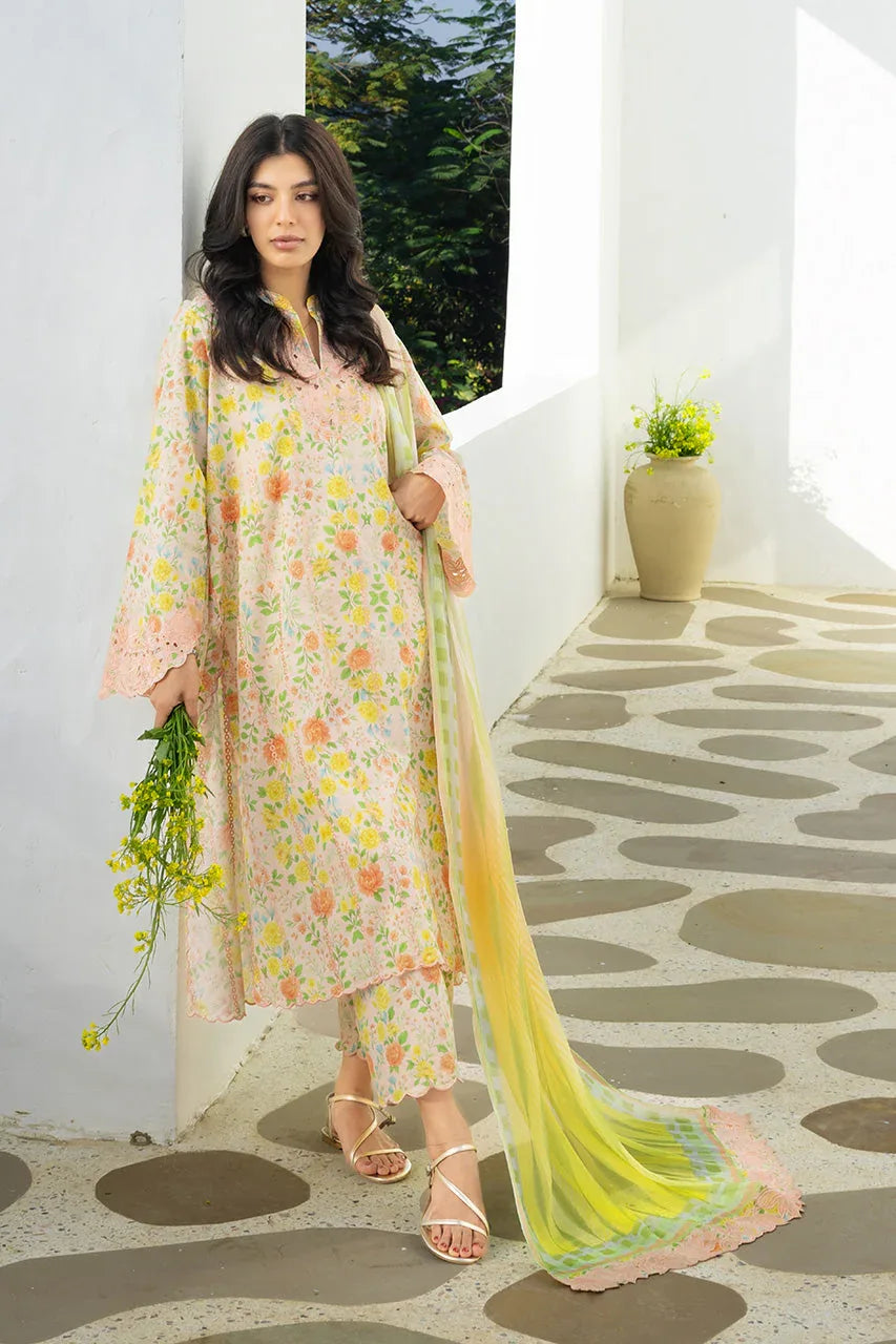 Alysa (A) - Aqsa Fabrics