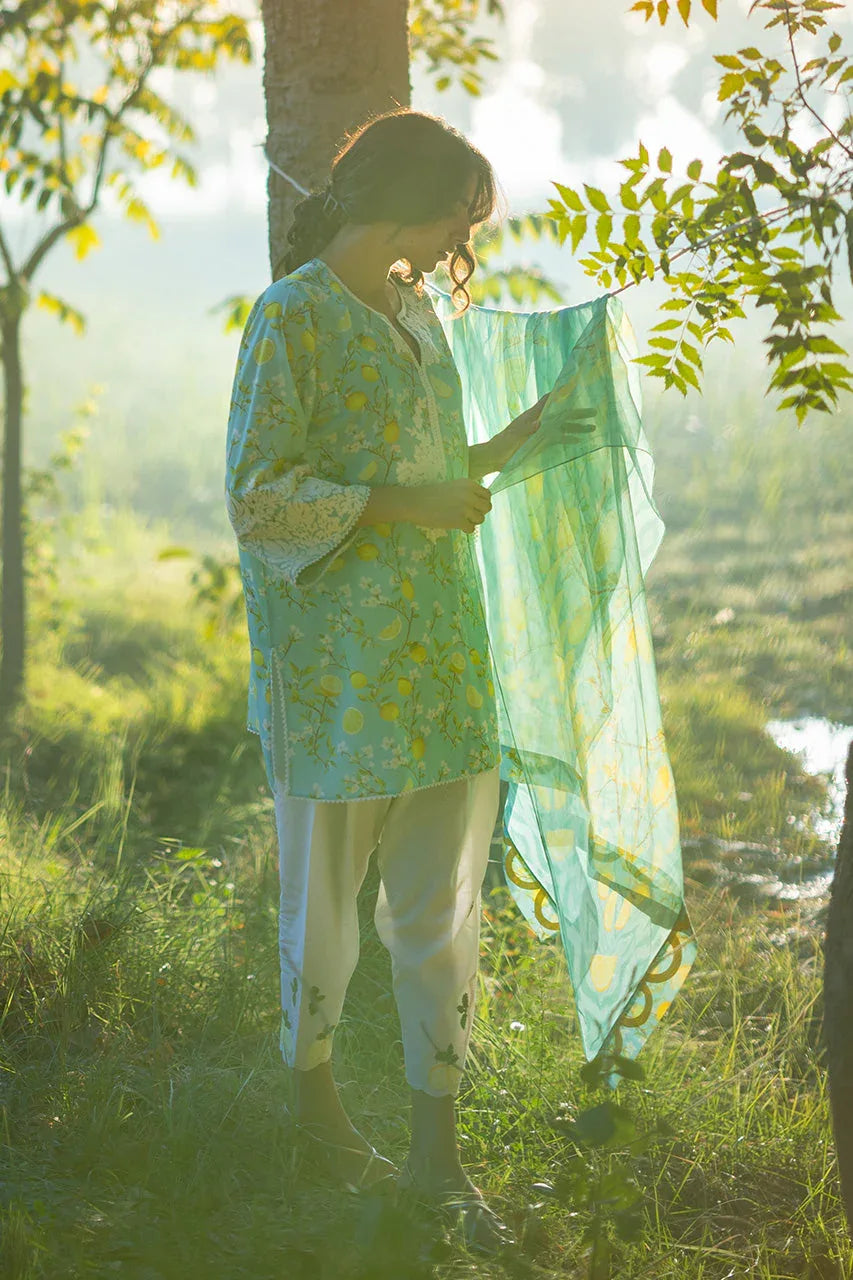 Ambar (A) - Aqsa Fabrics