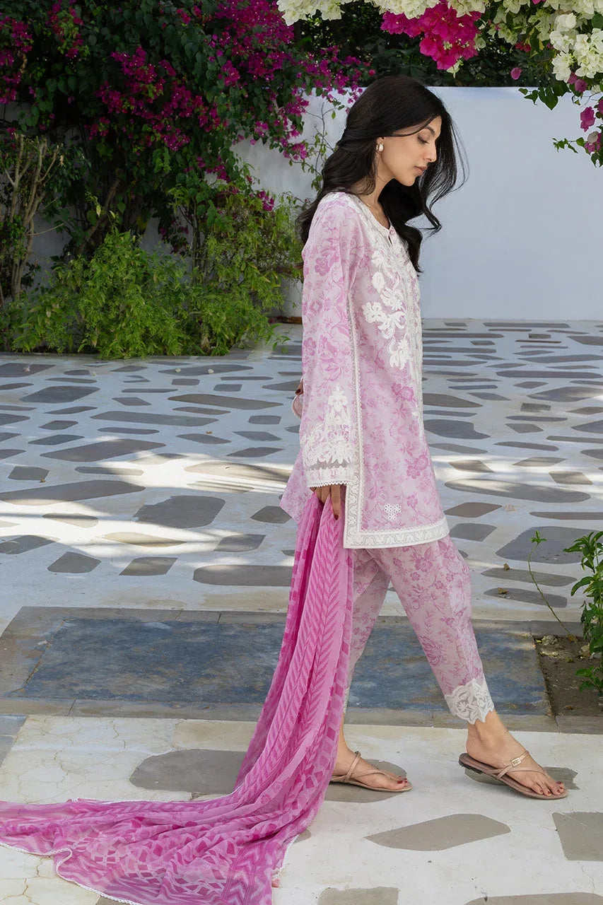 Rumi (A) - Aqsa Fabrics