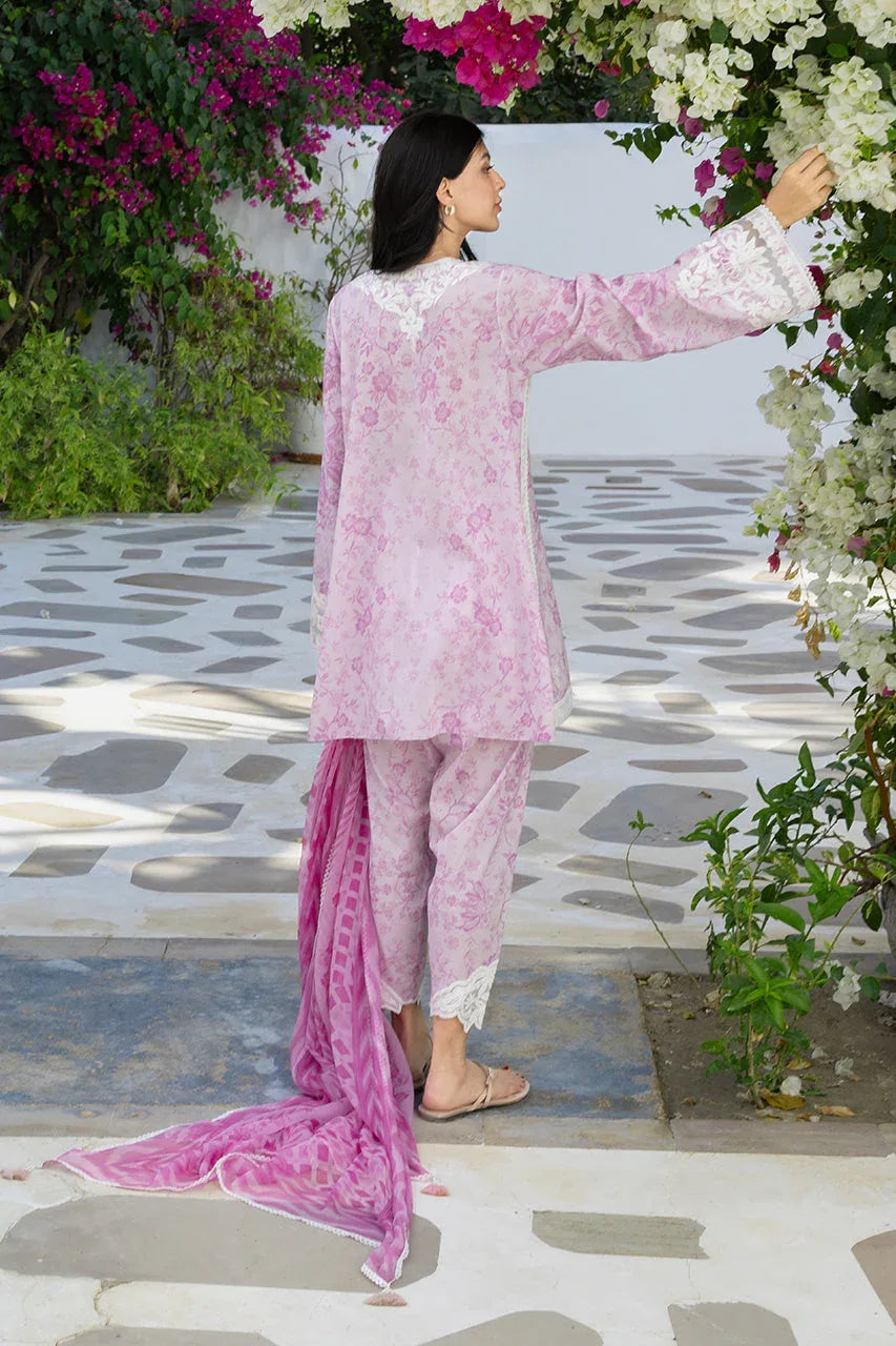 Rumi (A) - Aqsa Fabrics