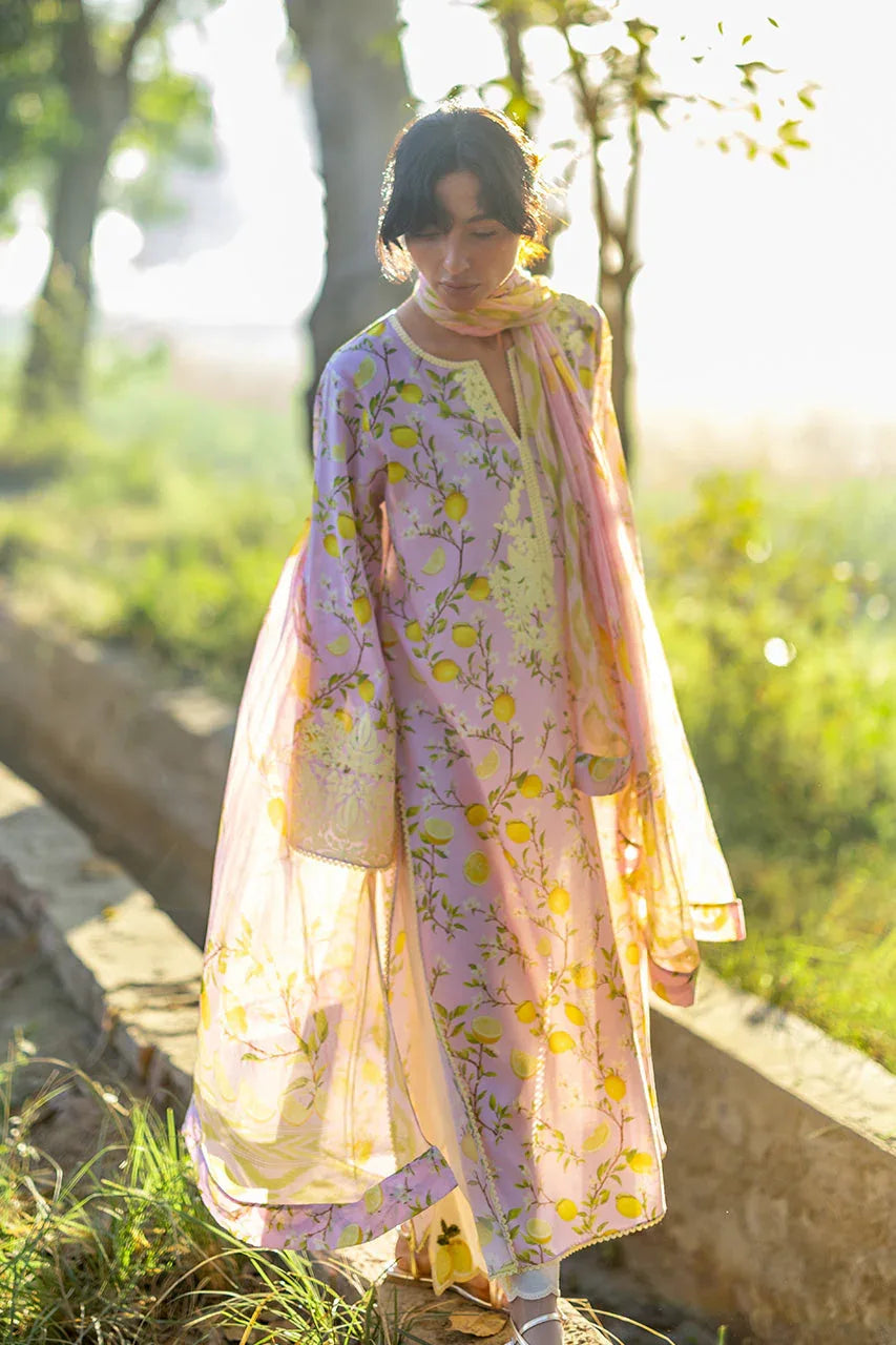 Ambar (B) - Aqsa Fabrics