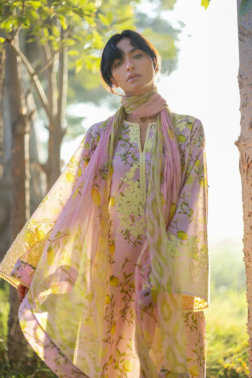 Ambar (B) - Aqsa Fabrics