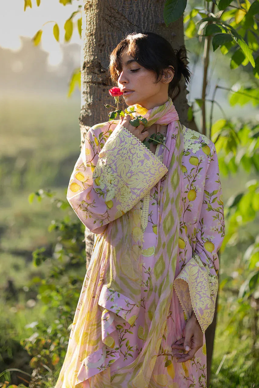 Ambar (B) - Aqsa Fabrics