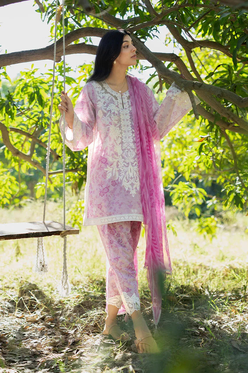 Rumi (A) - Aqsa Fabrics